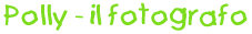 fabu-log-polly.gif (1394 byte)