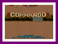 vvv-comm1.JPG (9250 byte)